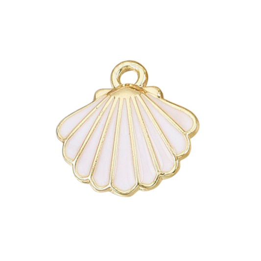 Scallop Shell