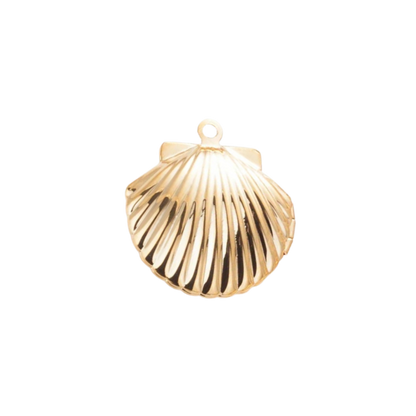 Shell locket