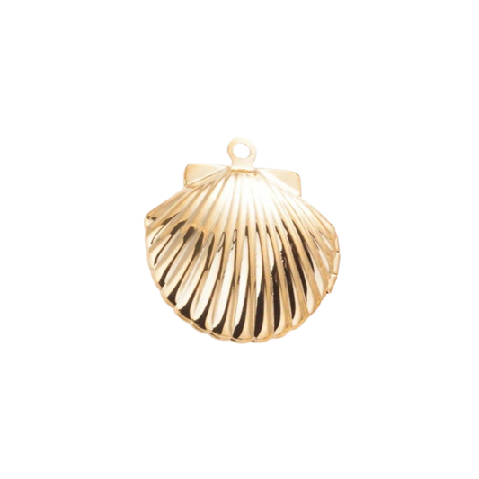 Shell locket