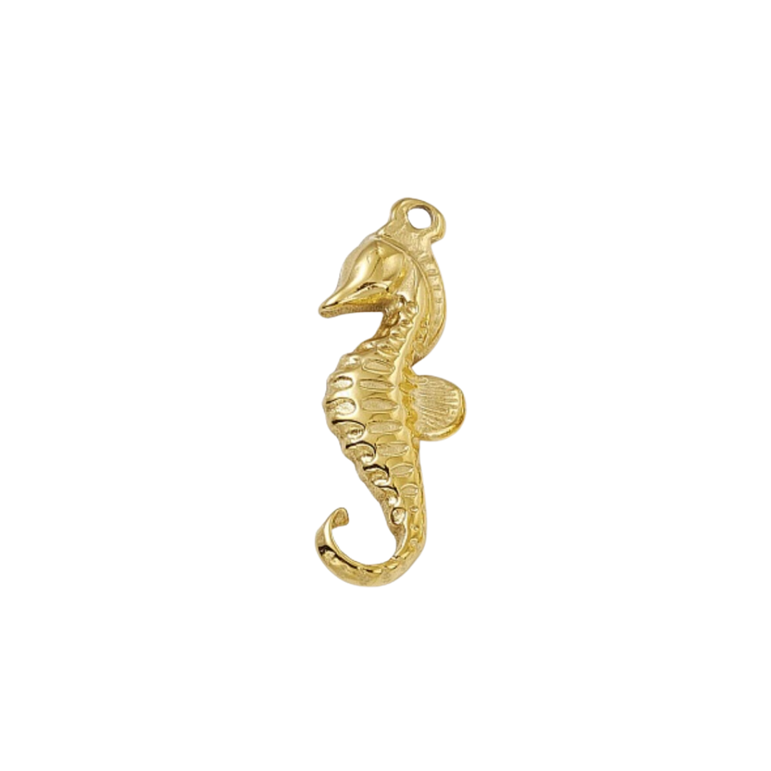 Seahorse